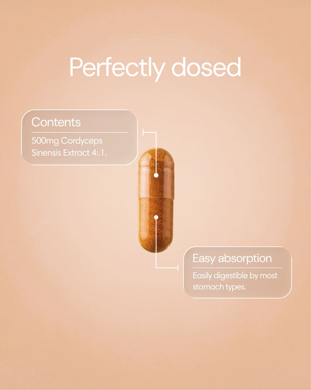 Clearly Cordyceps capsules in a bottle, showing the supplement packaging with capsules visible inside.
